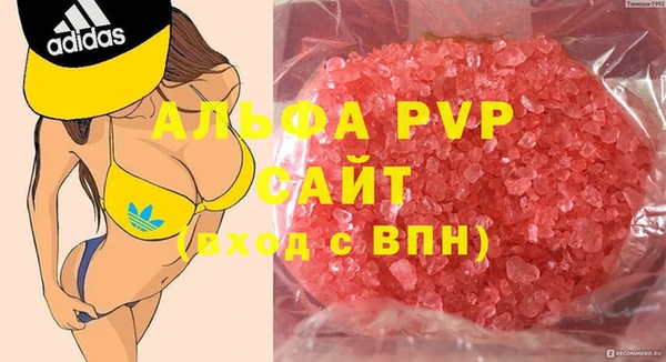 спиды Коряжма