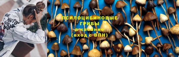 спиды Коряжма