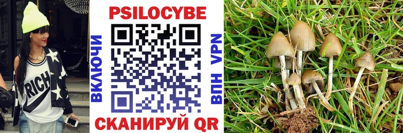 Купить где  Асбест  Псилоцибиновые грибы Psilocybine cubensis 